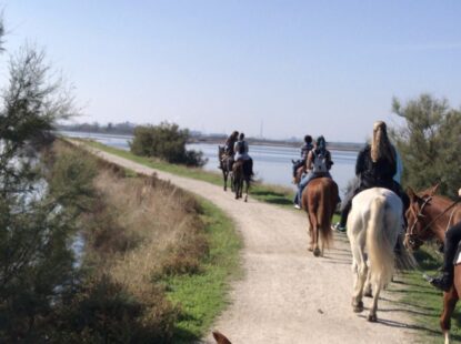 55edd695 3b79 4413 bdca 2d5794f1b1c9