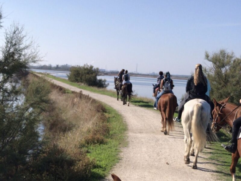 55edd695 3b79 4413 bdca 2d5794f1b1c9