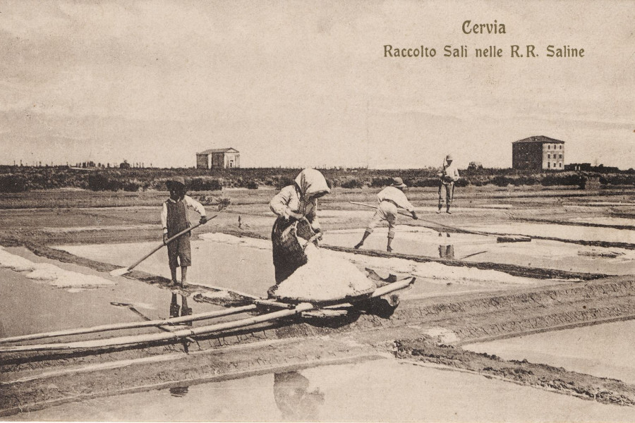 le antiche saline di cervia