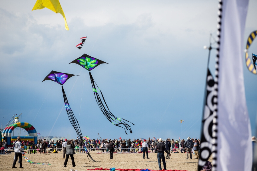 Artevento Fest Cercia