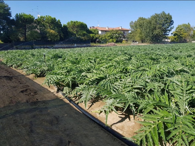 aca91ad8 0250 4e58 9b41 5f0a13b449ad 1