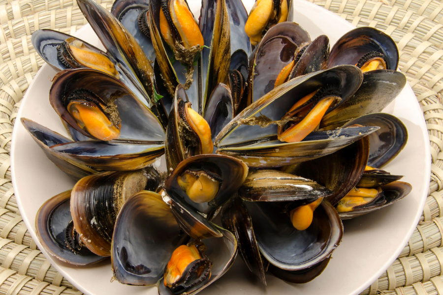 Cozza Di Cervia | MiMa Club Hotel