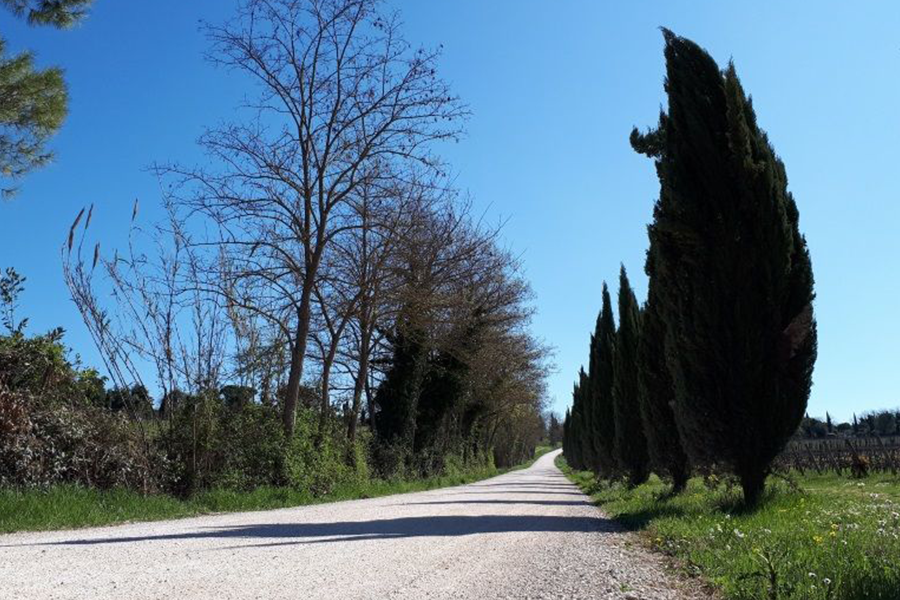 Strade Bianche del Sale | MiMa Club Hotel