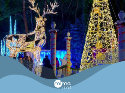 MiMa in Wonderland | MiMa Club Hotel