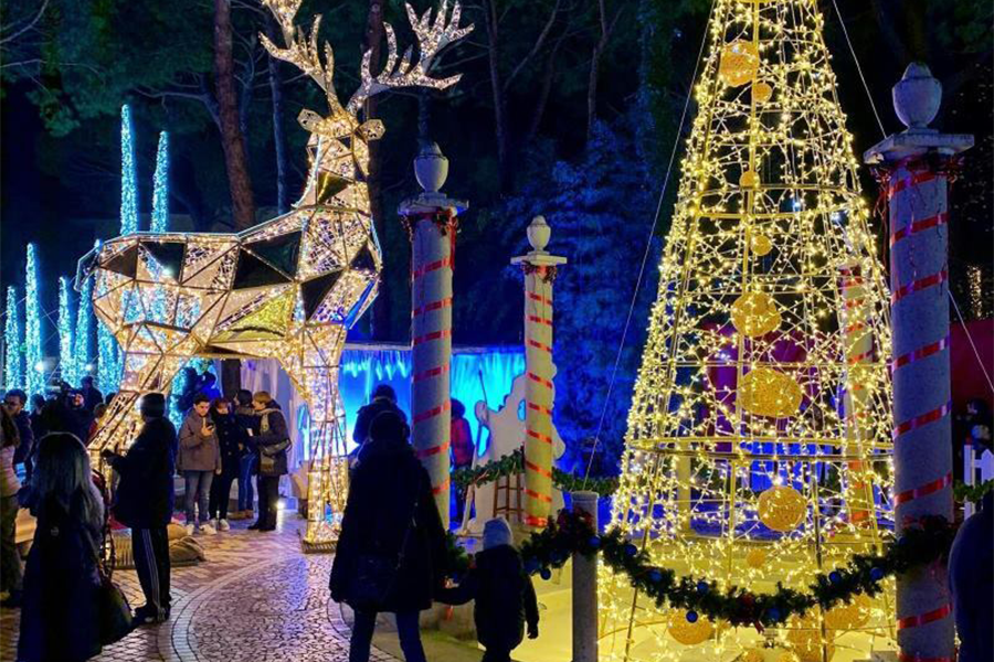 mima natale albero illuminato