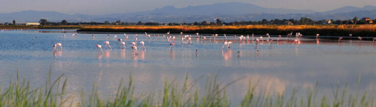 natura e ambiente mobile